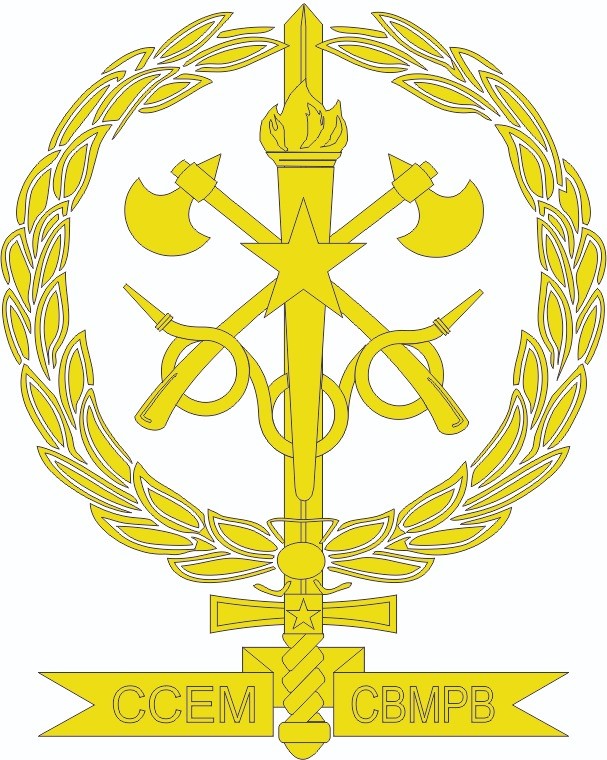 CURSO DE COMANDO E ESTADO-MAIOR 2025